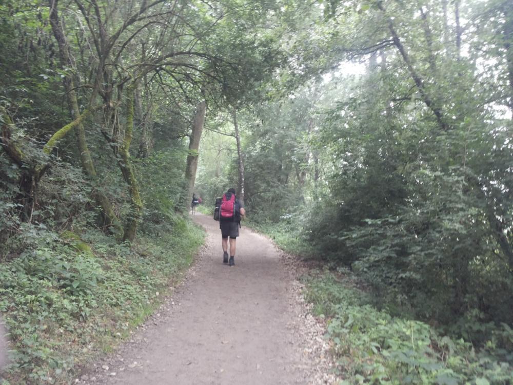 El Seminario Menor abraza al Apóstol