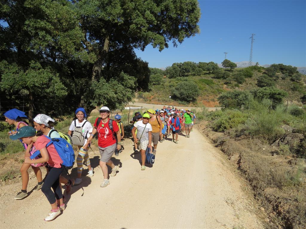 Todos caminan en grupo