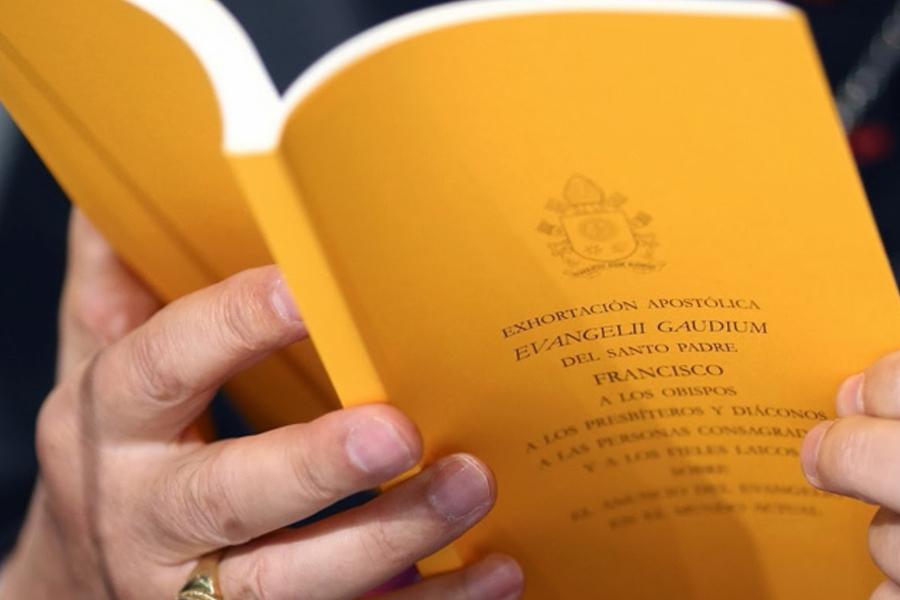 Hacia una visión de conjunto de la \"Evangelii Gaudium\"