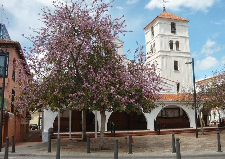 Arroyo de la Miel clausura el Año de la Misericordia