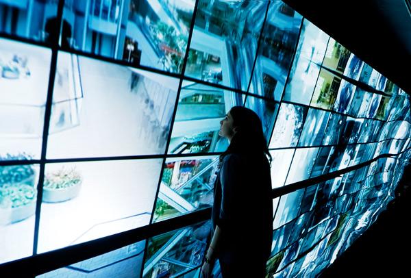 Usuarios + protegidos