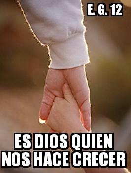 Nuevos WhatsApp sobre la Evangelii gaudium