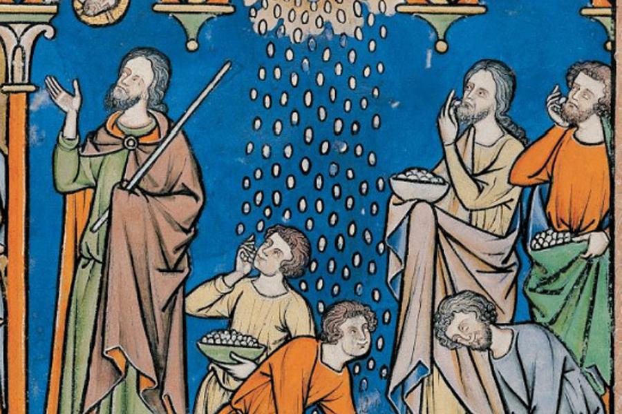 Lectio Divina para el evangelio del Domingo XVIII del Tiempo Ordinario