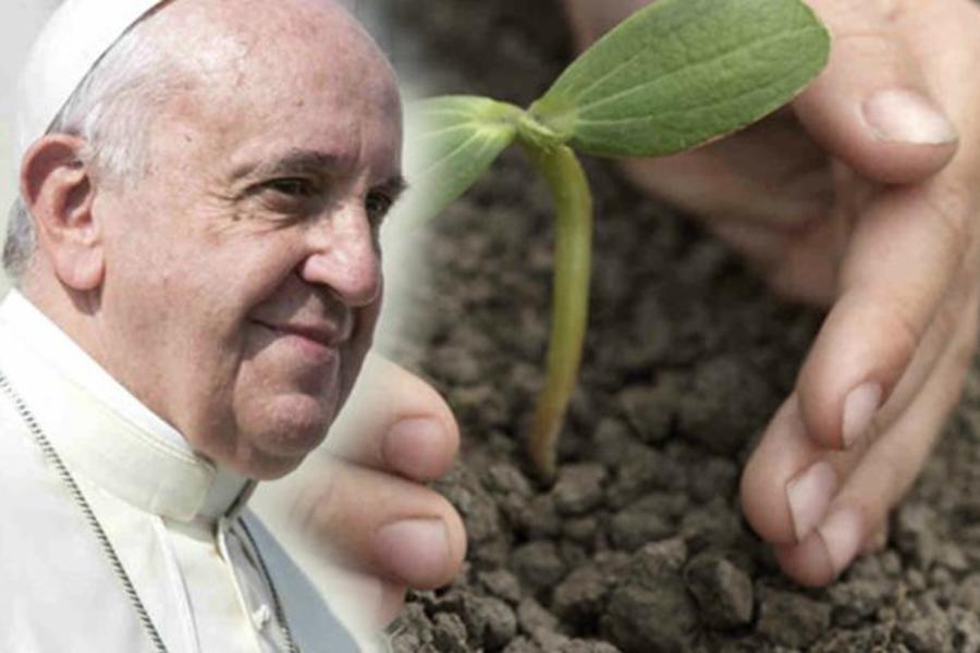 Jornada Mundial de Oración por el Cuidado de la Creación