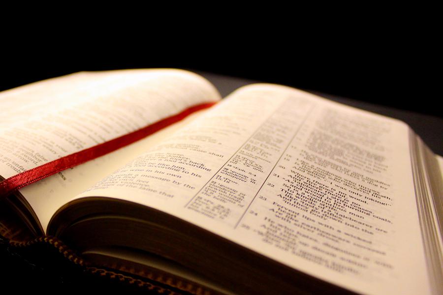 FERMÍN NEGRE. Comentario al Evangelio de hoy, sábado 8 de agosto