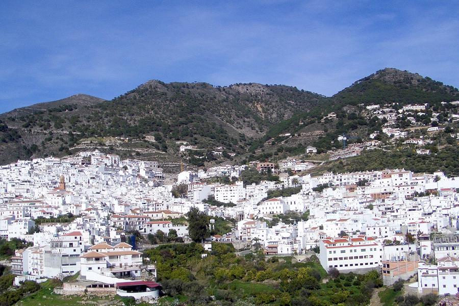 Cómpeta, Canillas y Archez peregrinan a la Catedral