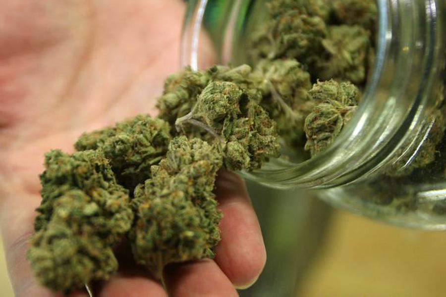 Quimioterapia con cannabis