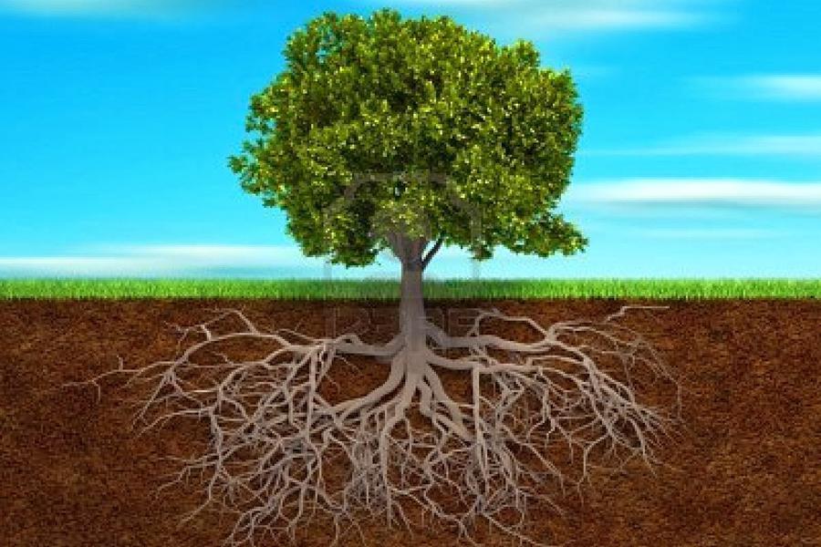 Diario de una adicta (LXI). El combate invisible