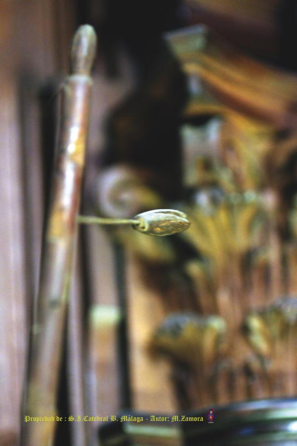 Detalle de la vara florida // M. ZAMORA