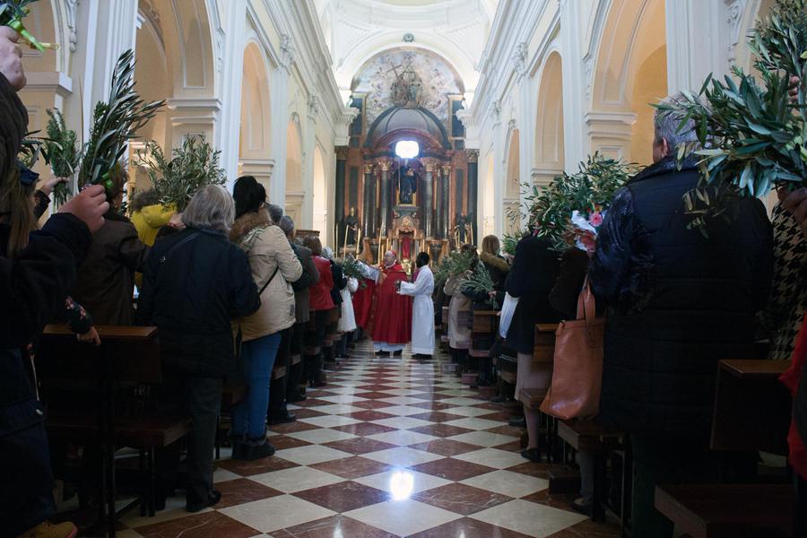 Domingo de Ramos en la Pasión del Señor // M. ZAMORA