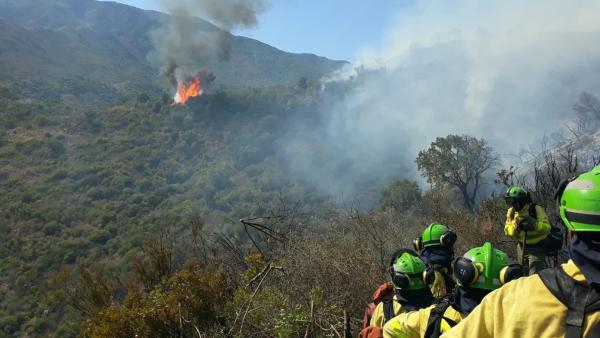 La Fundación Victoria se solidariza con el pueblo de Estepona