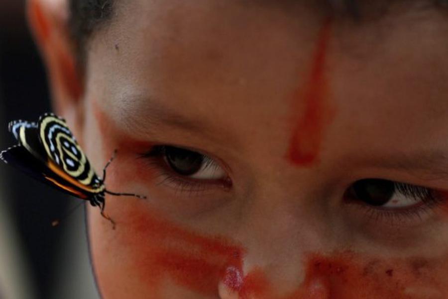 Concluye el Sínodo de la Amazonía