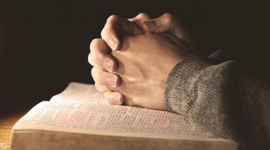 Evangelio para tiempos de virus