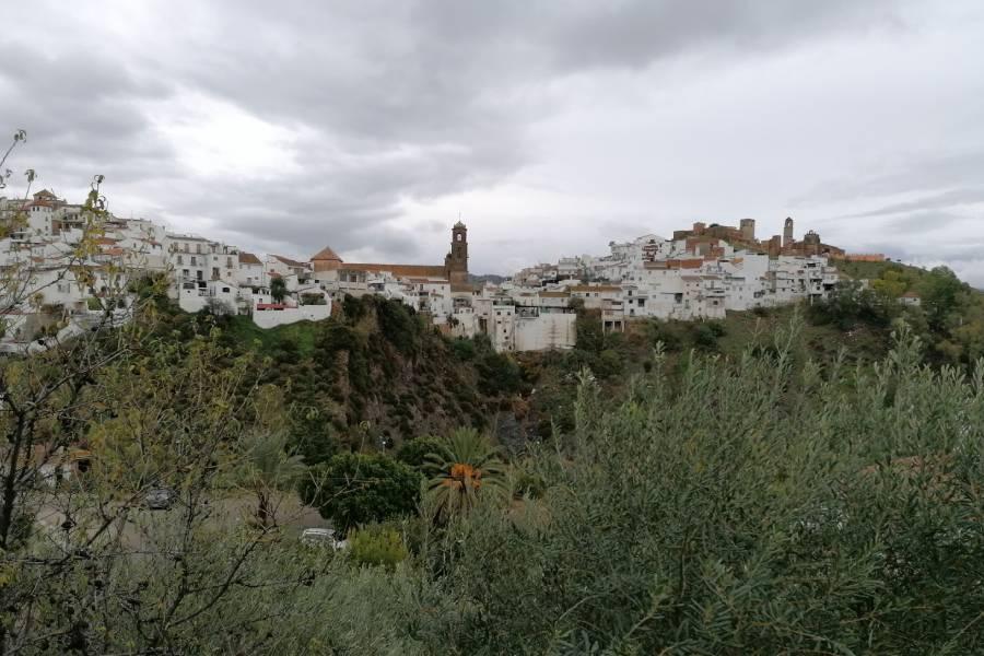 Álora tiene dos patronas