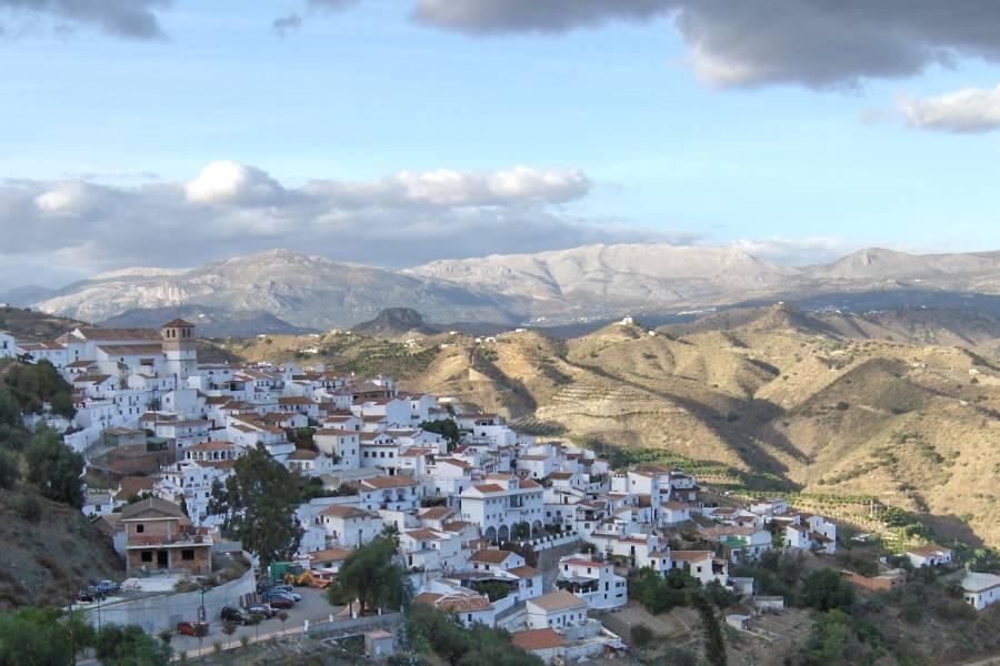 Cútar, el pueblo que recorre un peregrino cada verano