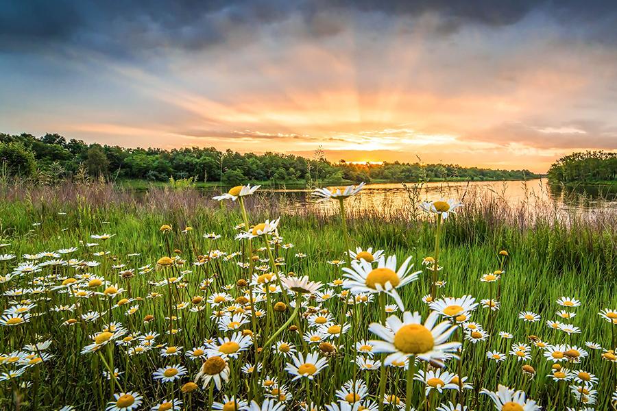 Un nuevo hito hacia la conversión ecológica
