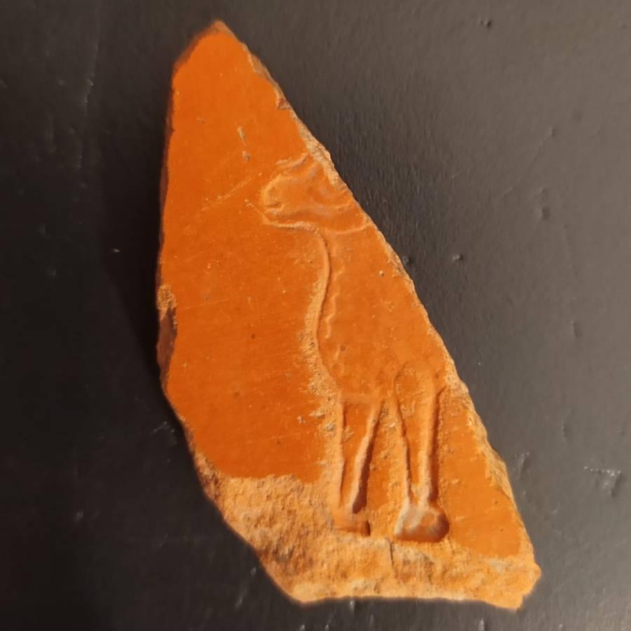 Fragmentos de Terra Sigillata, aparecidos en la excavaciones del entorno Catedral y datados entre el siglo IV y VI