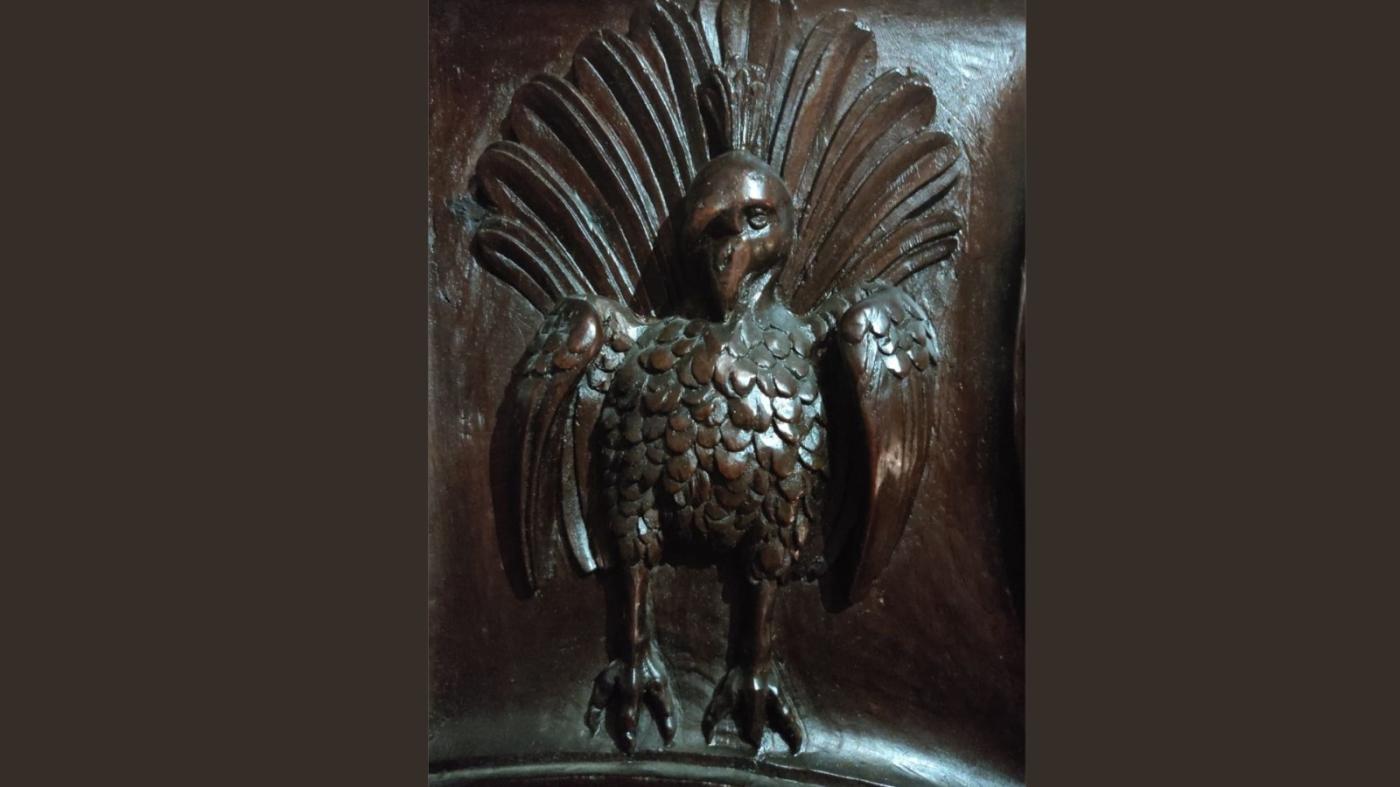 Las plumas de la vanidad