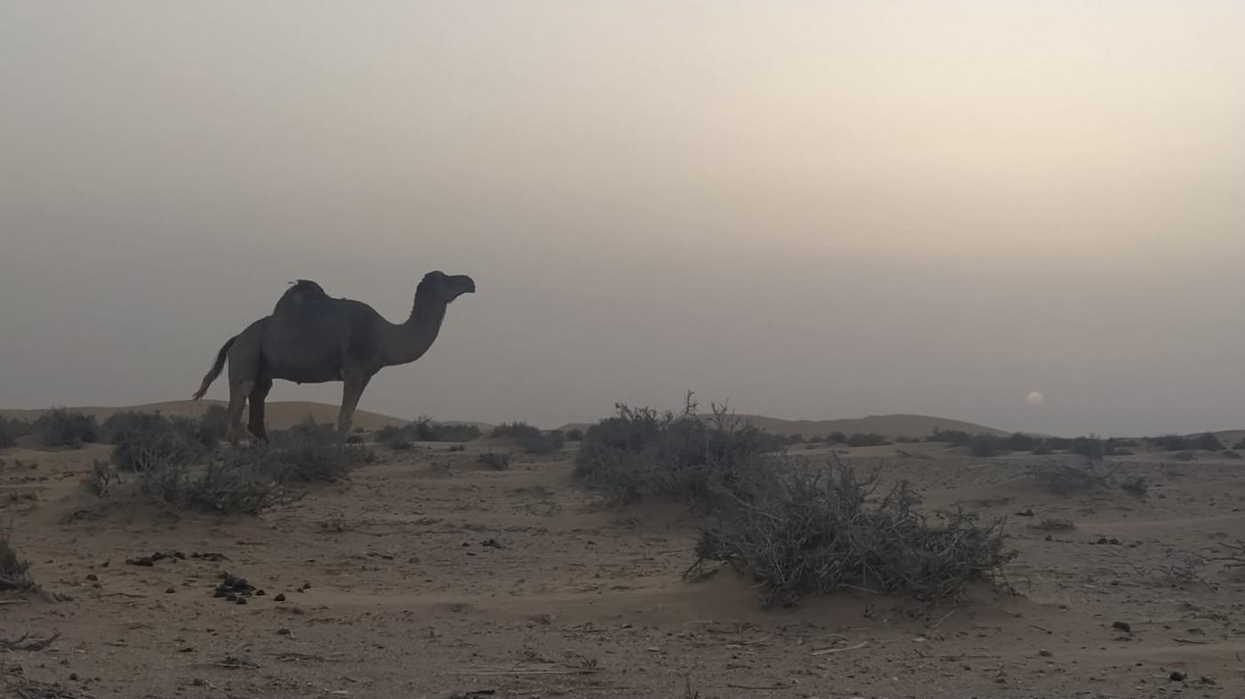 Día 3. Orar entre las dunas de arena