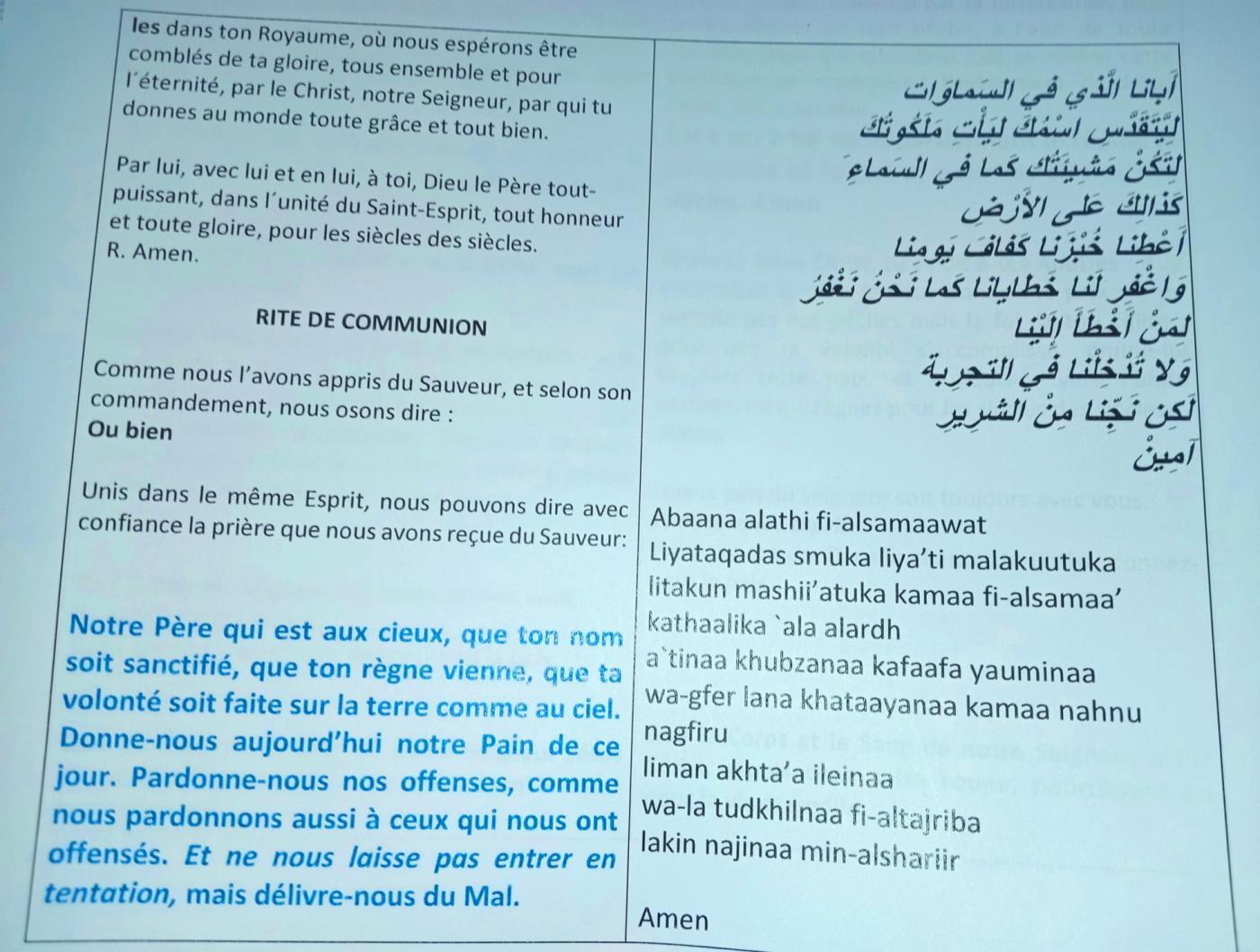 «Una experiencia que superó nuestras expectativas, nos tocó el corazón y nos llenó de gozo»