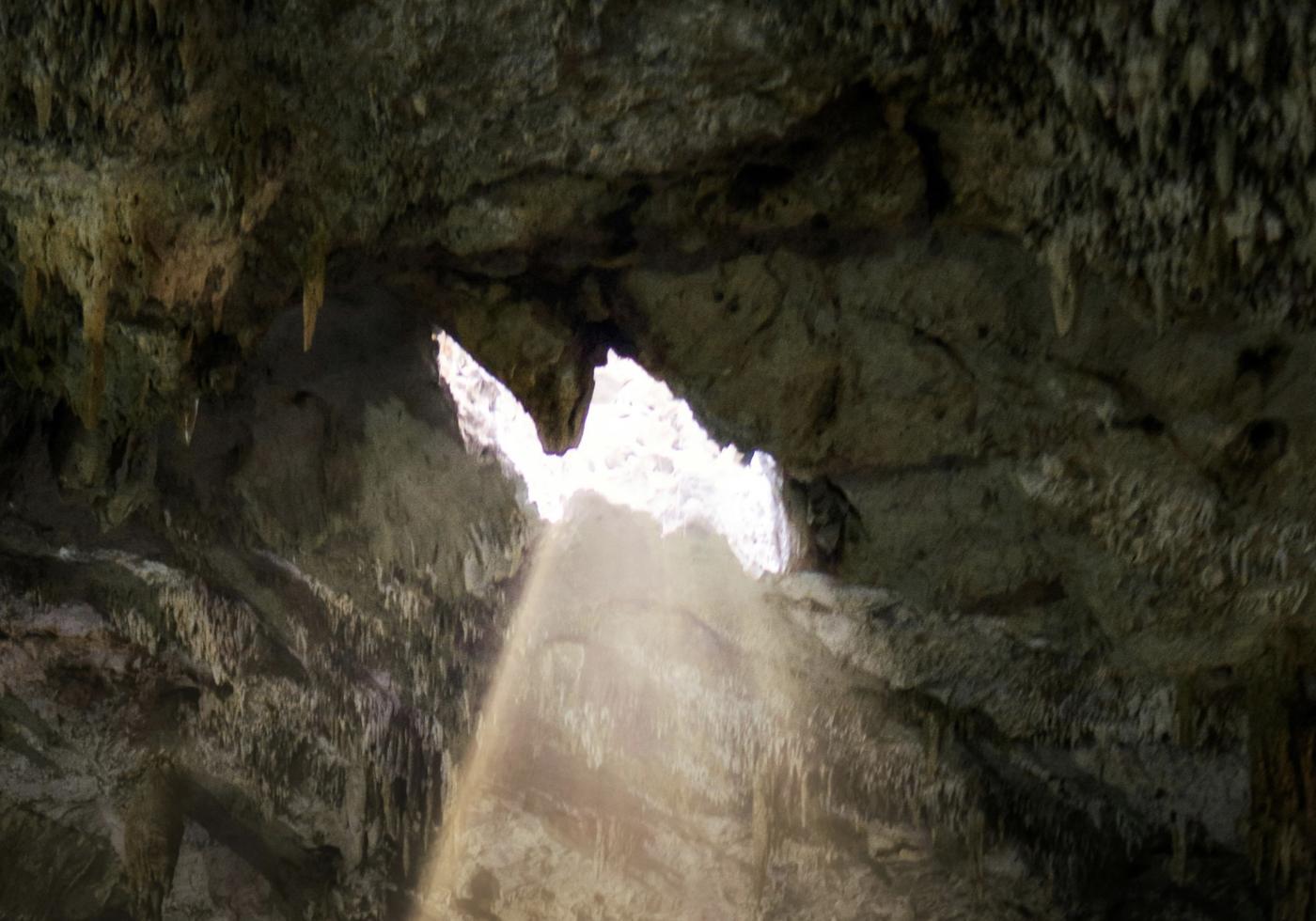 Comentario en texto al Evangelio, por el sacerdote Rafael Pérez Pallarés