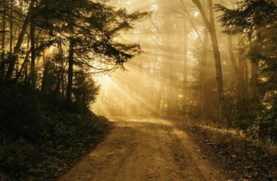 Comentario en texto al Evangelio, por Diego M. Ferrera