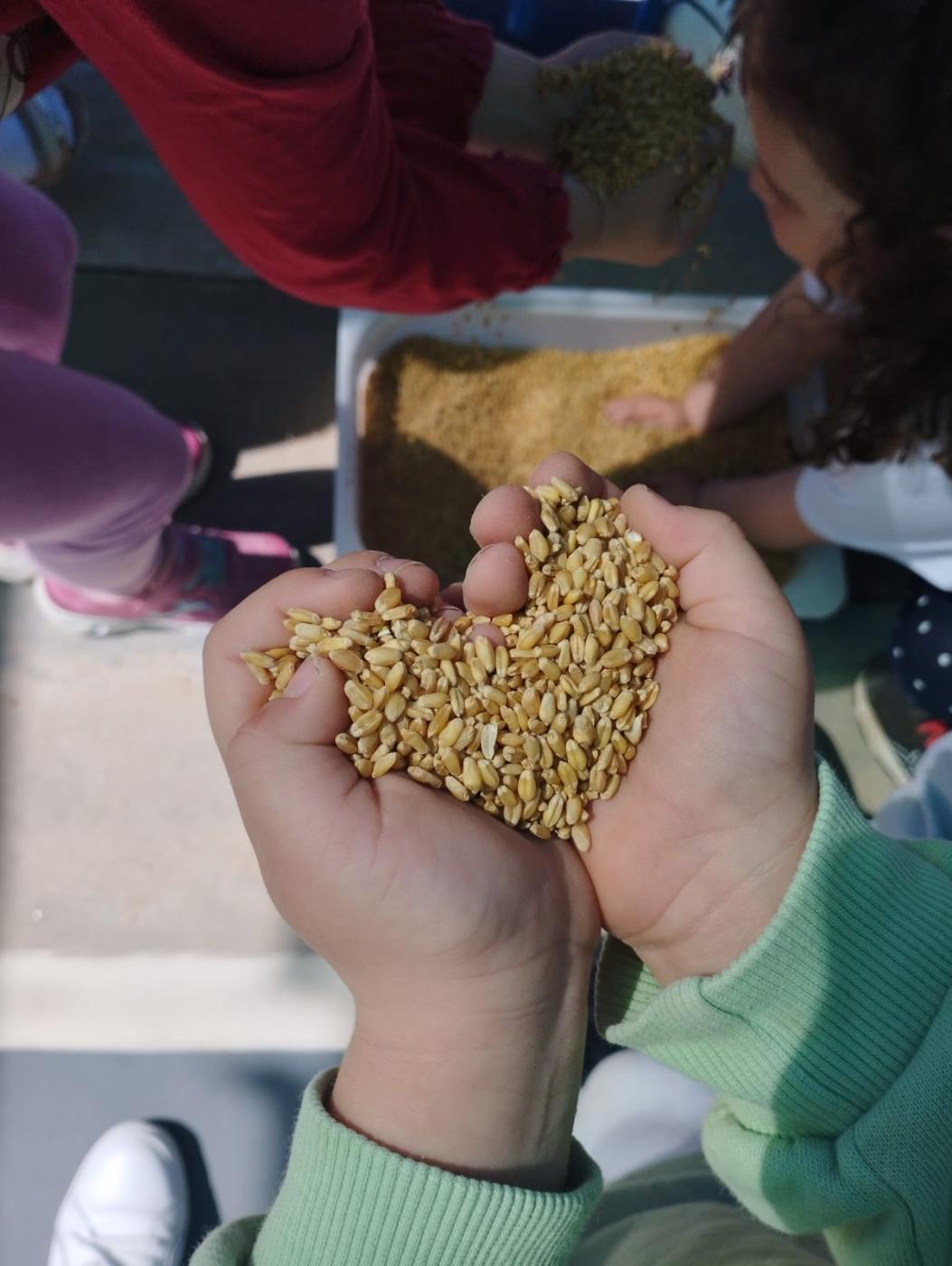 El colegio de Periana también celebra a san Isidro