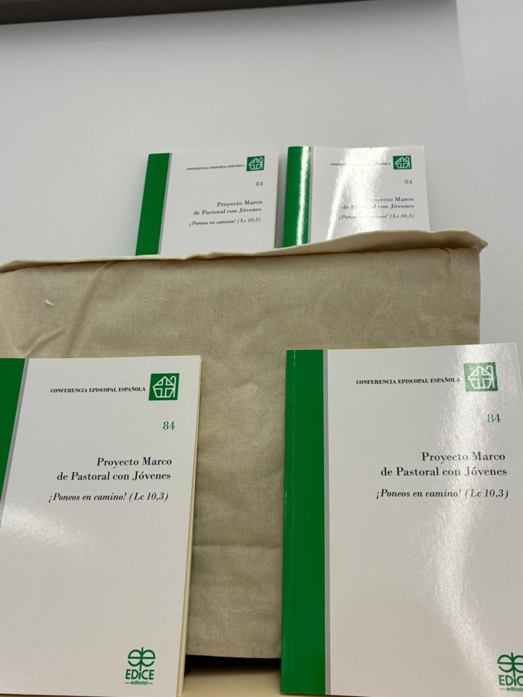 Los animadores de jóvenes de la diócesis han conocido el proyecto ¡Poneos en camino!